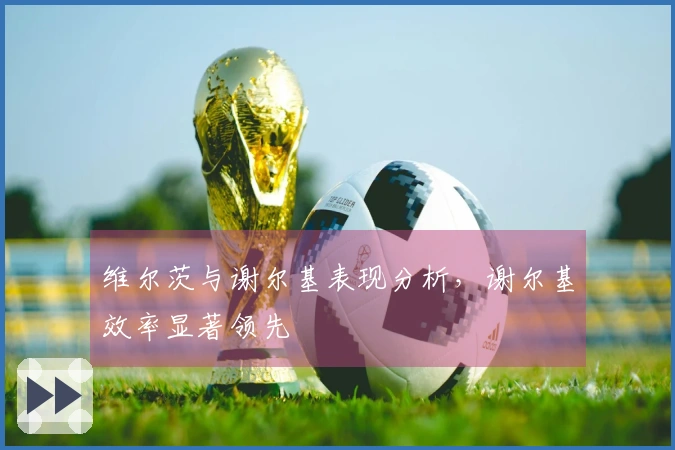 维尔茨与谢尔基表现分析，谢尔基效率显著领先