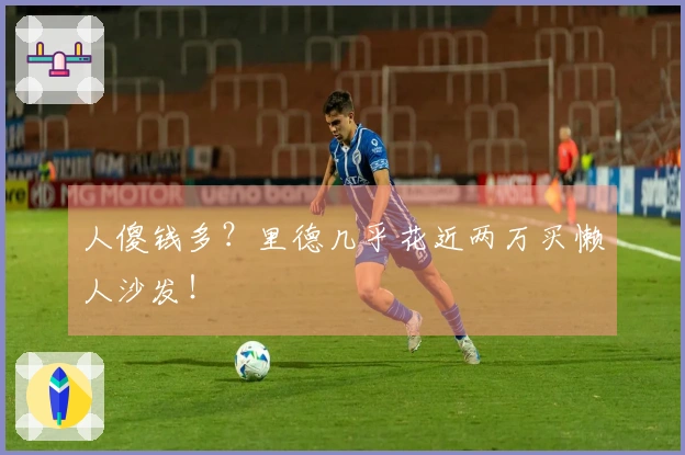 人傻钱多？里德几乎花近两万买懒人沙发！